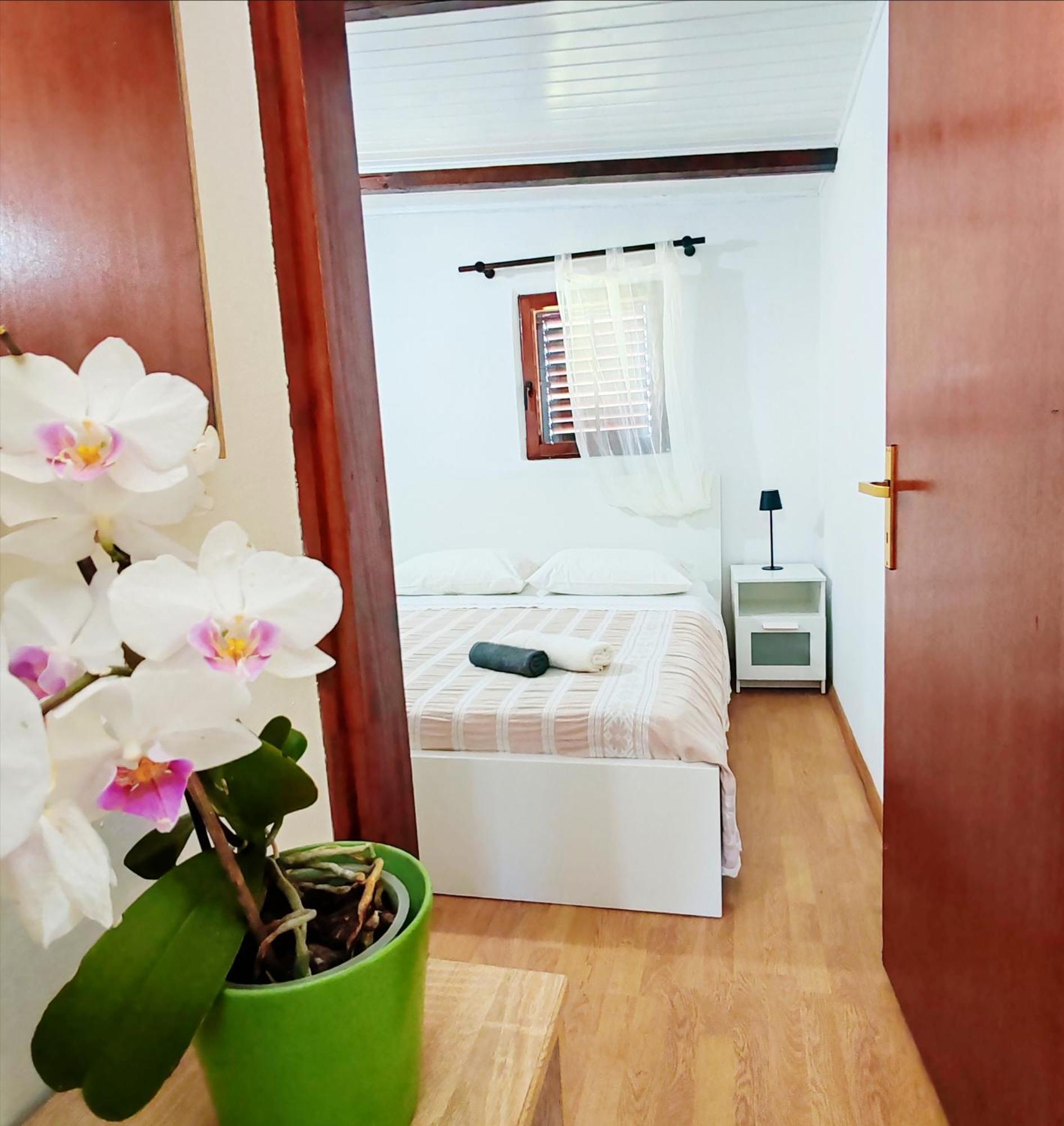 Venier Apartment Rovinj